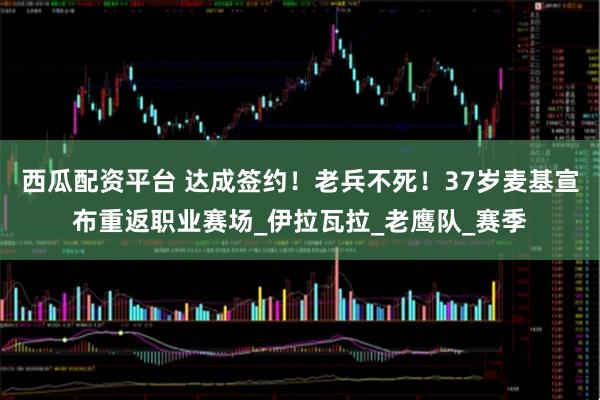 西瓜配资平台 达成签约!老兵不死!37岁麦基宣布重返职业赛场_伊拉瓦拉_老鹰队_赛季