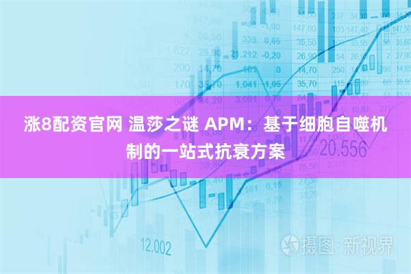 涨8配资官网 温莎之谜 APM:基于细胞自噬机制的一站式抗衰方案